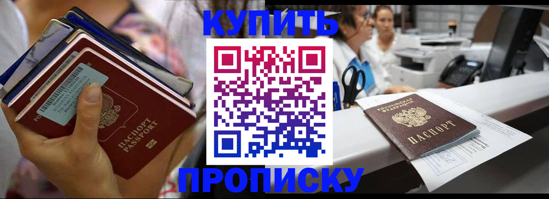 прописка для школы в Шлиссельбурге